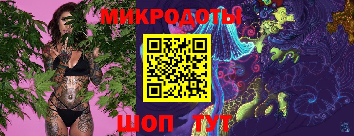 Касимов  Псилоцибиновые грибы Psilocybe  Вход с VPN 